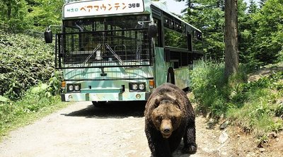 🐻 곰 산(사호로 리조트 베어 마운틴) 이미지 2